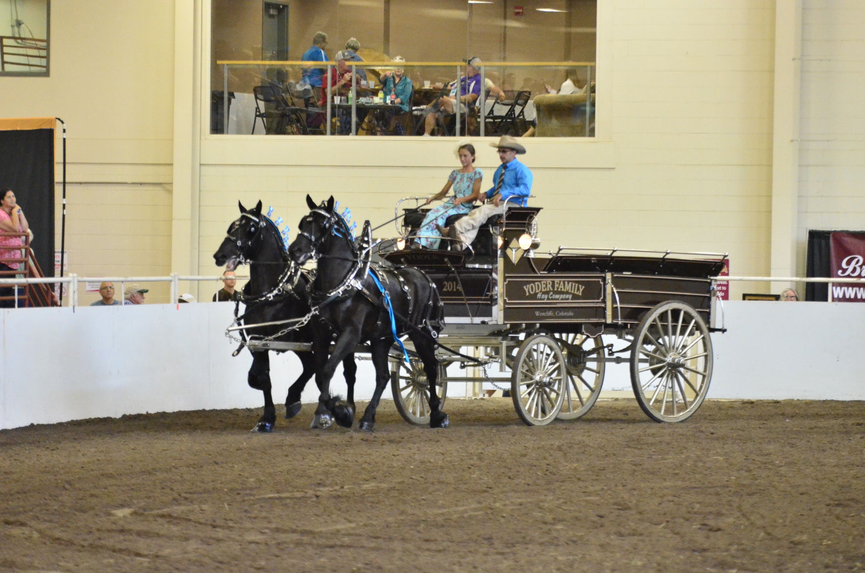 8-25-19 Draft Horse Hitch Final (48).JPG